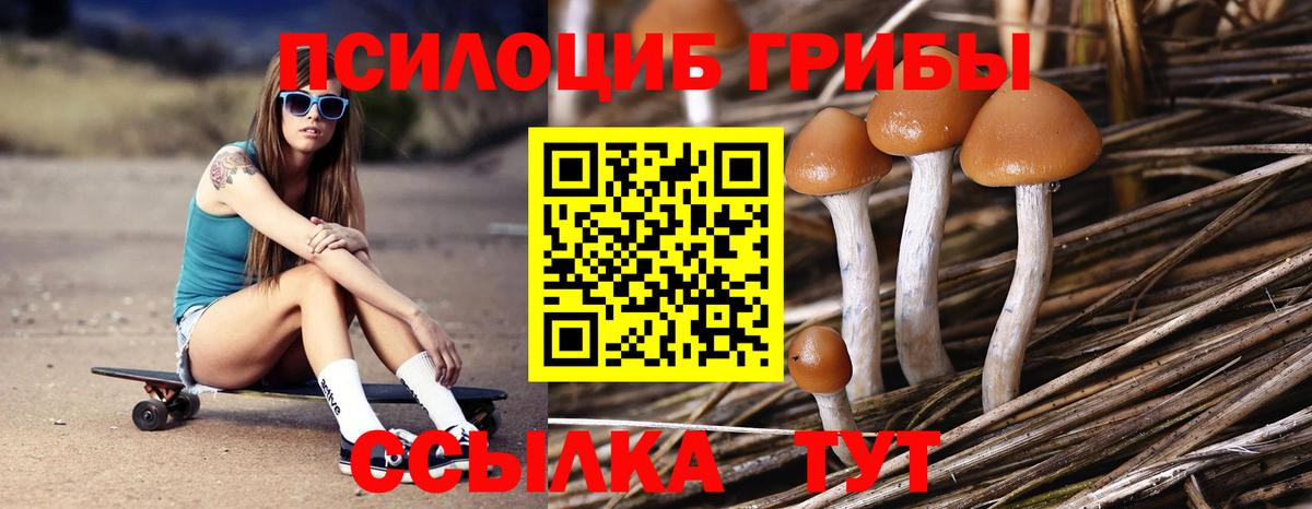 Псилоцибиновые грибы ЛСД Темрюк