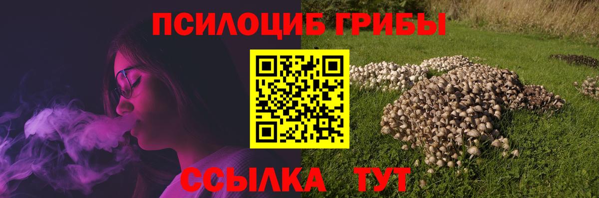 купить   Вход с VPN  Псилоцибиновые грибы мицелий  Темрюк  Галлюциногенные грибы Cubensis 